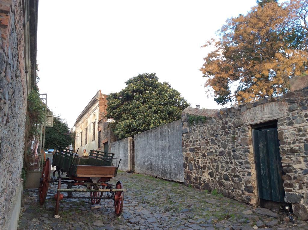 El Patio De Las Glicinas II Lejlighed Colonia del Sacramento Eksteriør billede